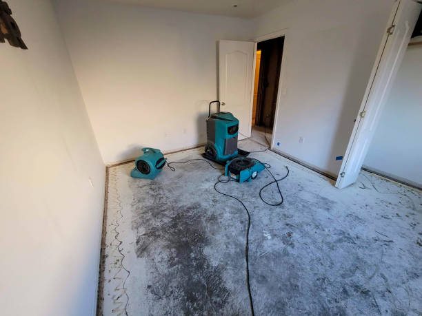 Best Emergency water damage restoration  in Campti, LA