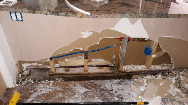 Best Water damage restoration near me  in Campti, LA