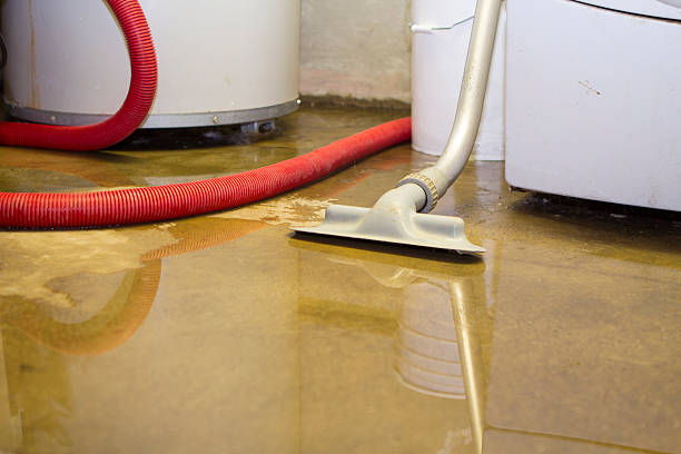 Sewage cleanup and water damage restoration in LA