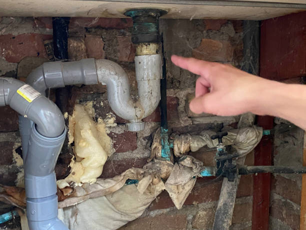 Best Professional water damage repair  in Campti, LA