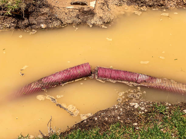 Professional Water damage restoration in LA